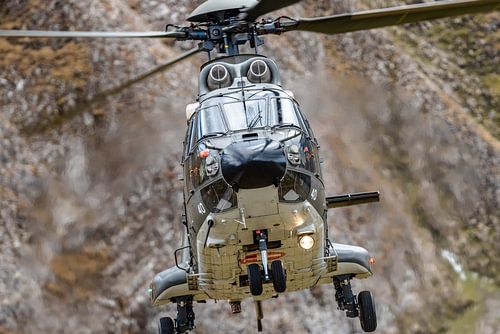 Zwitserse Eurocopter AS 532UL Cougar (T-340).