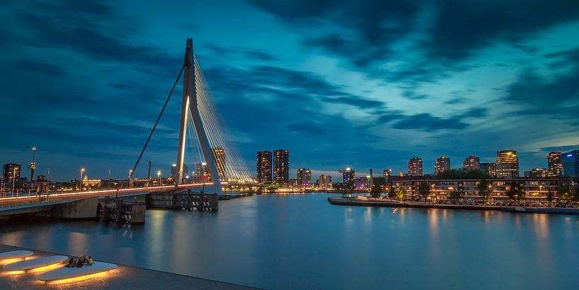 Rotterdam: Le pont Erasmus par Sybo Lans
