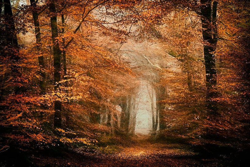 Onstuimige Herfst van Lars van de Goor