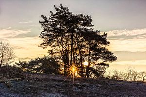 Sonnenaufgang Brunssummerheide von Rob Boon