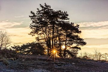 Sonnenaufgang Brunssummerheide von Rob Boon
