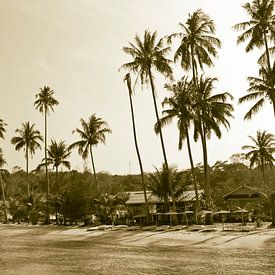 Palmboom indian summer | tropisch Thailand boho bali style | natuur reizen wanderlust 2 van Doris van Meggelen