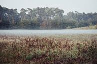 Natuur van Meike Huibers thumbnail