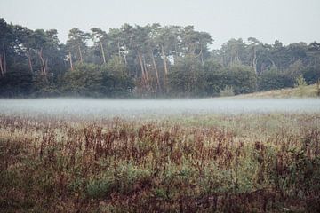 Natuur van Meike Huibers
