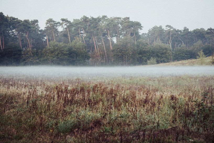 Natuur van Meike Huibers