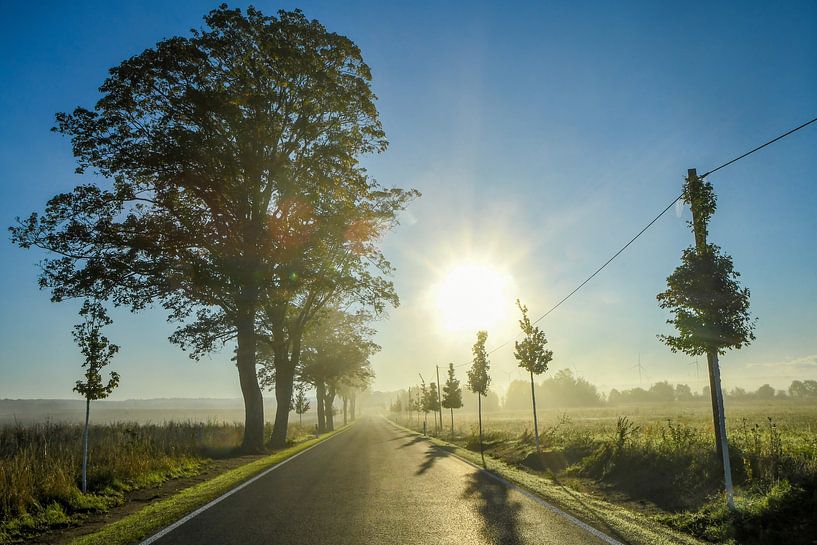 Landstraße in Brandenburg bei Sonnenaufgang III von SPUTNIKeins fotografie