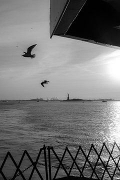 Vögel über der Freiheitsstatue von Piotr Snoch