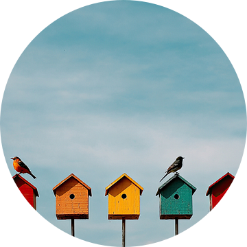 Kleurrijk rijtje vogelhuisjes op zomerdag