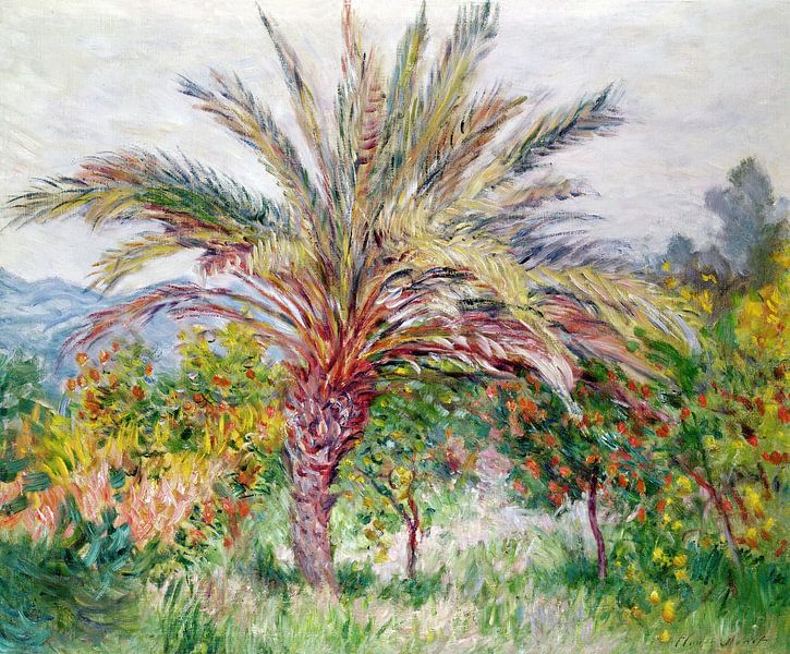 Claude Monet,Palm tree near Bordighera by finemasterpiece
