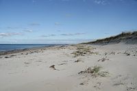 Diese Weite! - Strand auf Fischland-Darss-Zingst