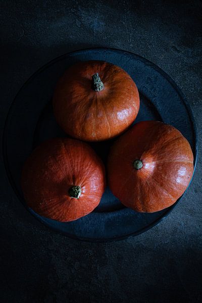 Pumpkins by Xan Photography