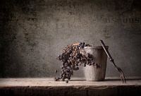 still life 83
