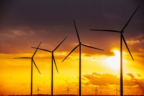Windturbines in windpark tijdens zonsondergang