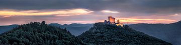 Panorama du château Trifels dans la forêt du Palatinat