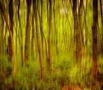 Der Morgenwald. von WTCHCRFT Images Miniaturansicht