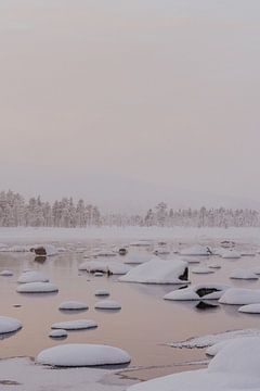 Bevroren winters landschap