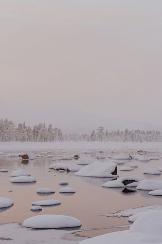 Frozen winter landscape