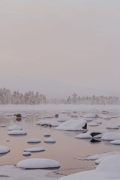 Paysage d'hiver gelé par sonja koning
