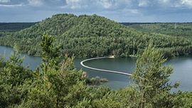 Terhills, Nationalpark Hoge Kempen, Belgien von Imladris Images