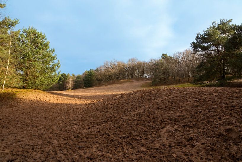 The Herperduin nature reserve contains among others beautiful forests, drifting sand remnants and a  by ChrisWillemsen