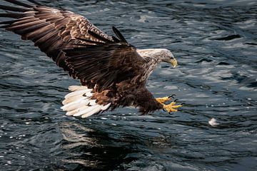 Hab dich! von Severin Frank Fotografie