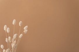 Canary grass still life by Jantine Prins