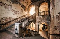 Waldhaus Buch III by Bjorn Renskers thumbnail