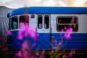 Blau‑weißer Vintage‑Triebwagen mit pinkem Blumen‑Bokeh | Bahnfotografie zur Goldenen Stunde