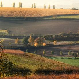 Autumn Layers in Silence by peter reinders