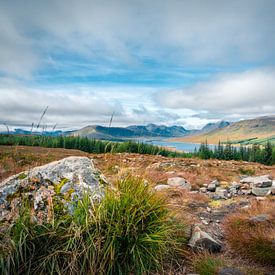 Landschaft in Schottland von Thijs van Beusekom