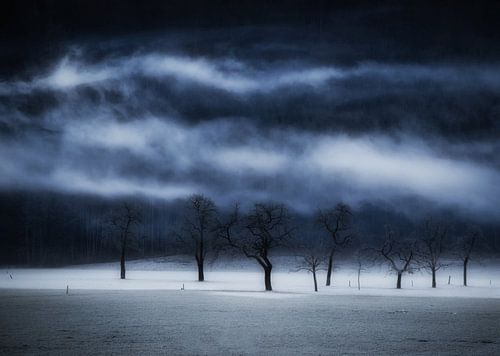 die Leidenschaft des Winters