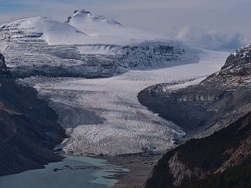 Saskatchewan Glacier en Columbia Icefield van Timon Schneider