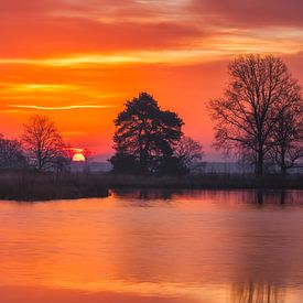 Farbenfroher Sonnenaufgang auf dem Dwingelderveld, Drenthe von Bea Budai
