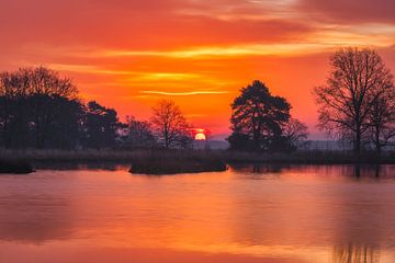 Kleurrijke zonsopkomstop het Dwingelderveld, Drenthe van Bea Budai