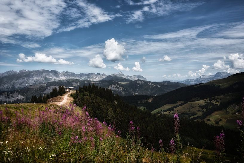 Kleuren berglandschap Alpen in Frankrijk van Ipo Reinhold