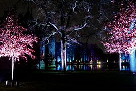Schloss de Haar während der Luminous Nights von Jos van den Berg