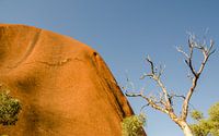 Uluru