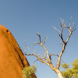 Uluru by Pieter van der Zweep