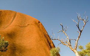 Uluru van Pieter van der Zweep