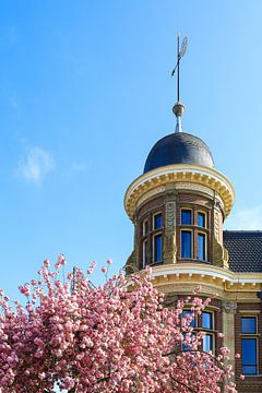 Bloesem bij de Rijksmunt te Utrecht