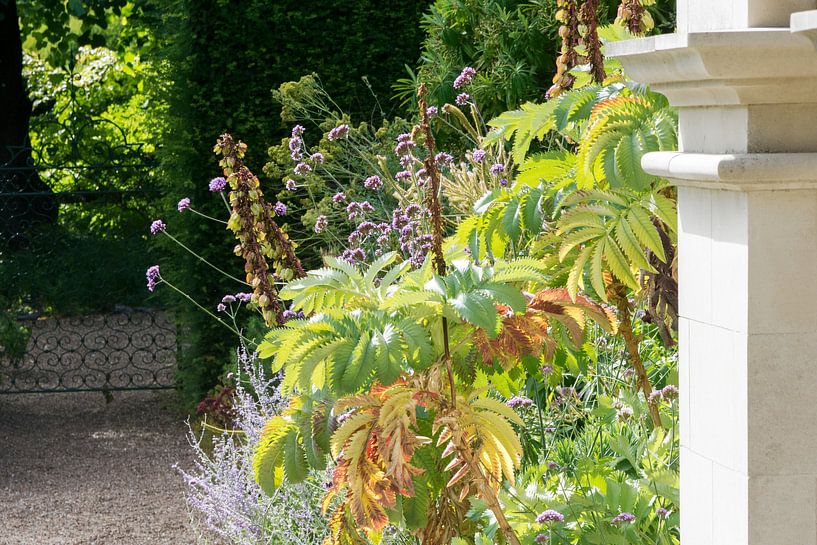 Wilde tuin van Studio Bosgra