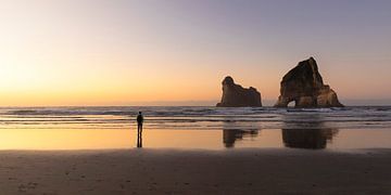 Wharariki Beach bij zonsondergang, Golden Bay, South Island, Nieuw Zeeland,