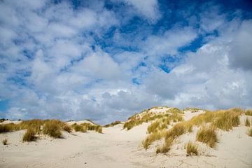 young dunes on Terschelling, the Netherlands by Jan Fritz