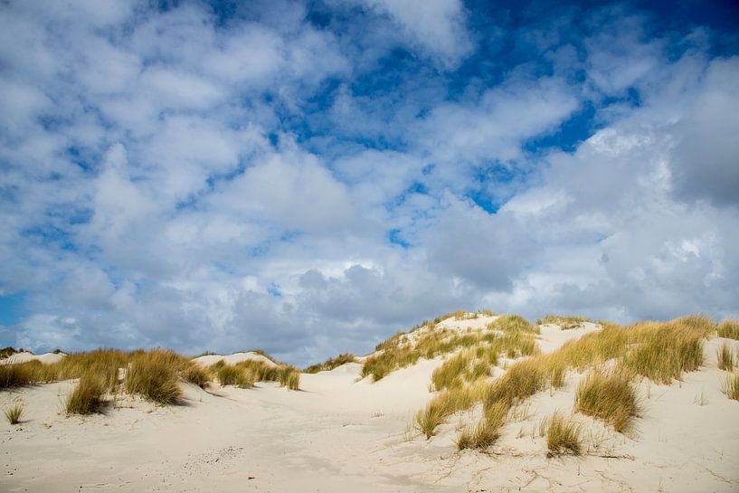 junge Dünen auf Terschelling, die Niederlande von Jan Fritz