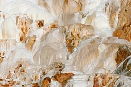 Mammoth Hot Springs à Yellowstone sur Antwan Janssen
