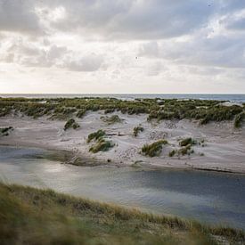 Dünen - Landschaft von Frank van Hulst