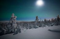 Landschap van Noorderlicht Finland van HansKl thumbnail