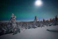Landschap van Noorderlicht Finland