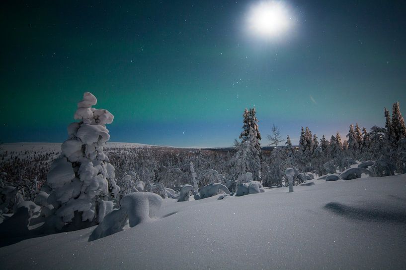 Landschap van Noorderlicht Finland van HansKl