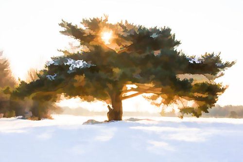 Beautiful snowy landscape